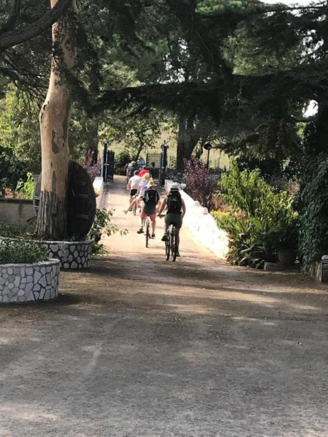 B&B Mandorla Amara Gioia Del Colle Luaran gambar